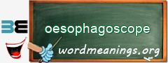 WordMeaning blackboard for oesophagoscope